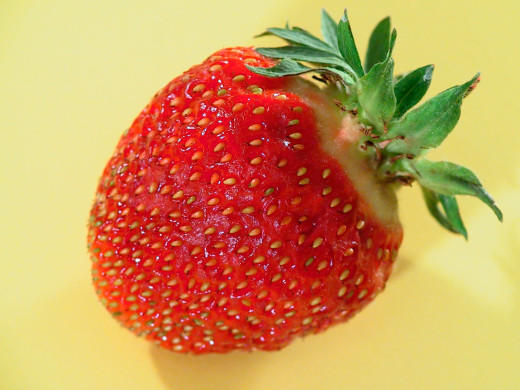 343787 (a): :1600x1200